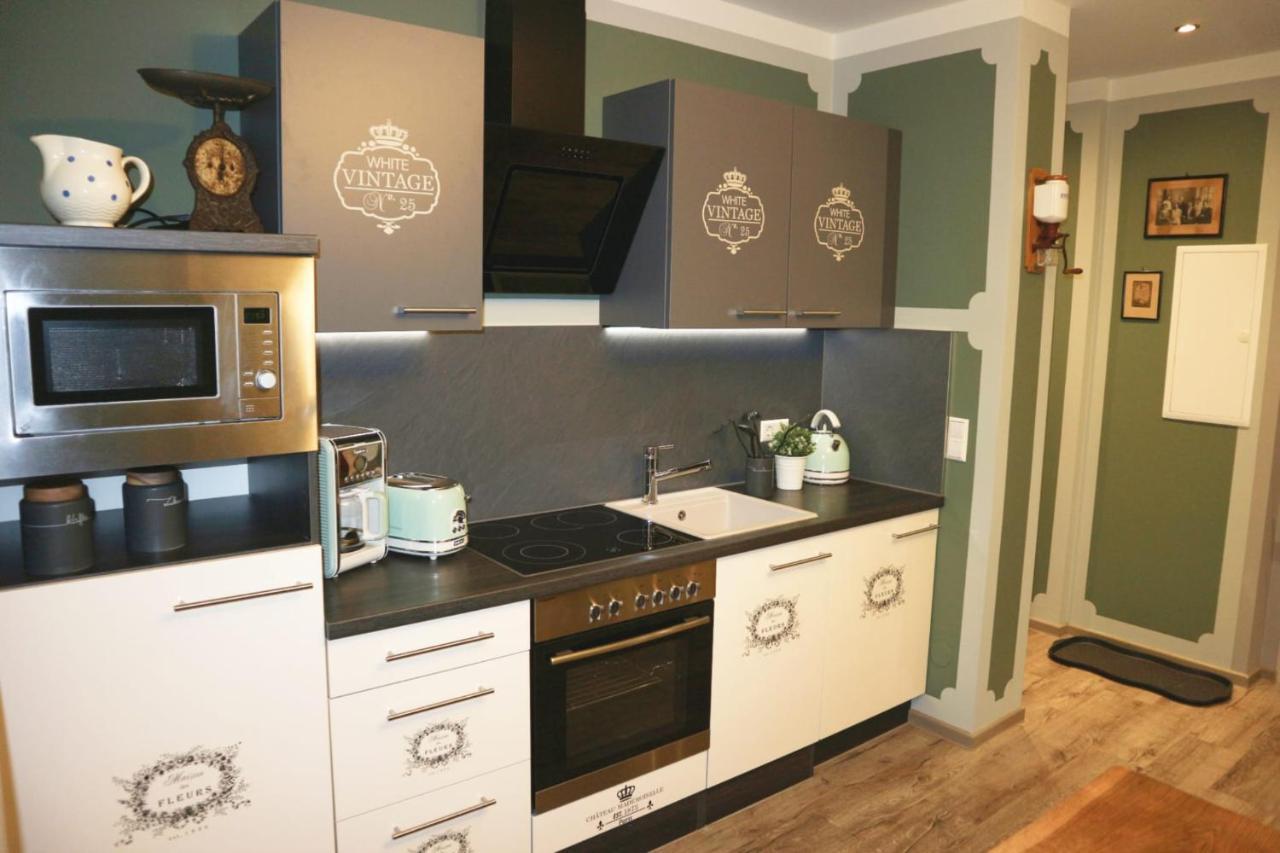 Apartment Alte Schusterei Freiberg Dış mekan fotoğraf